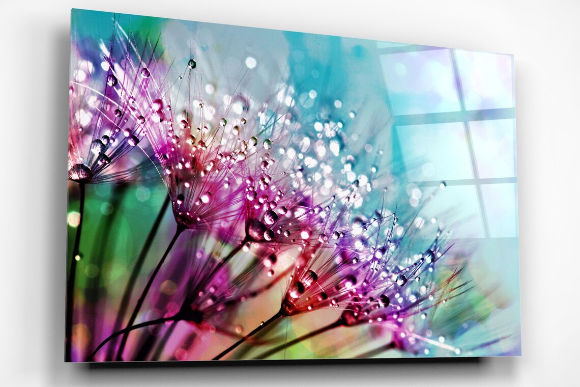 Pink Flowers Dewdrops Acrylic Glass Print Tempered Glass Wall Art 100% Made in Australia Ready to Hang