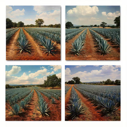 4pcs Tequil picture quality  Wall Art Canvas Framed