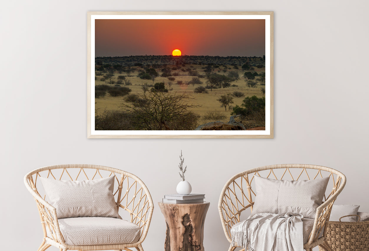 Nature View with Trees and a Sunset Home Decor Premium Quality Poster Print Choose Your Sizes