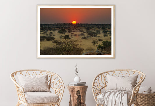 Nature View with Trees and a Sunset Home Decor Premium Quality Poster Print Choose Your Sizes