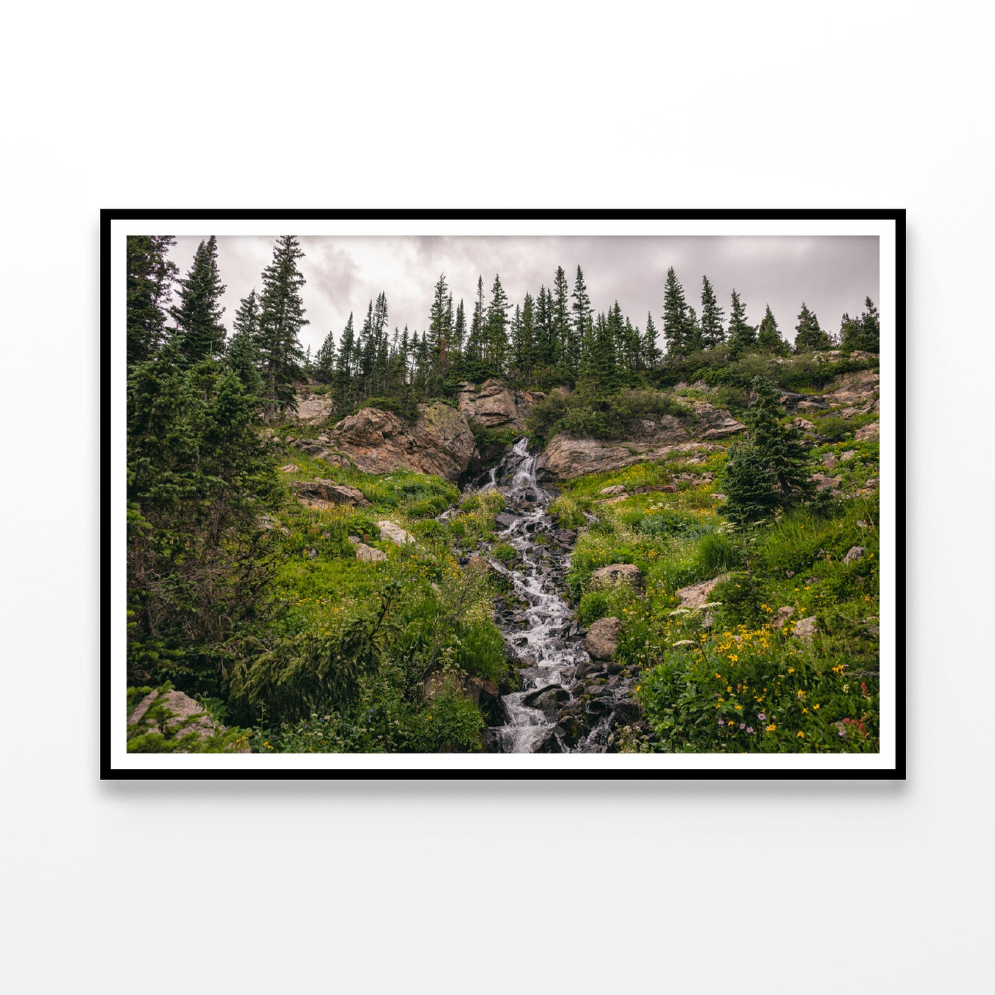Bunch Of Green Pine Tree on Rocks Home Decor Premium Quality Poster Print Choose Your Sizes - Bella Home Decor