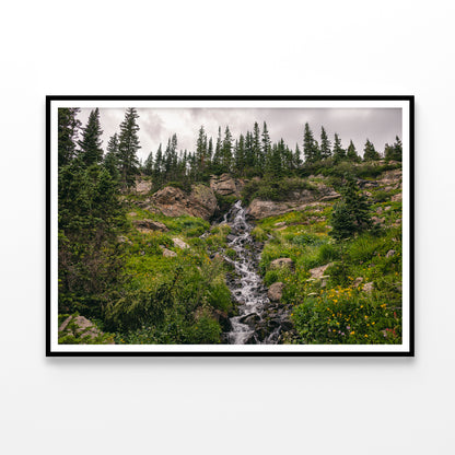 Bunch Of Green Pine Tree on Rocks Home Decor Premium Quality Poster Print Choose Your Sizes - Bella Home Decor