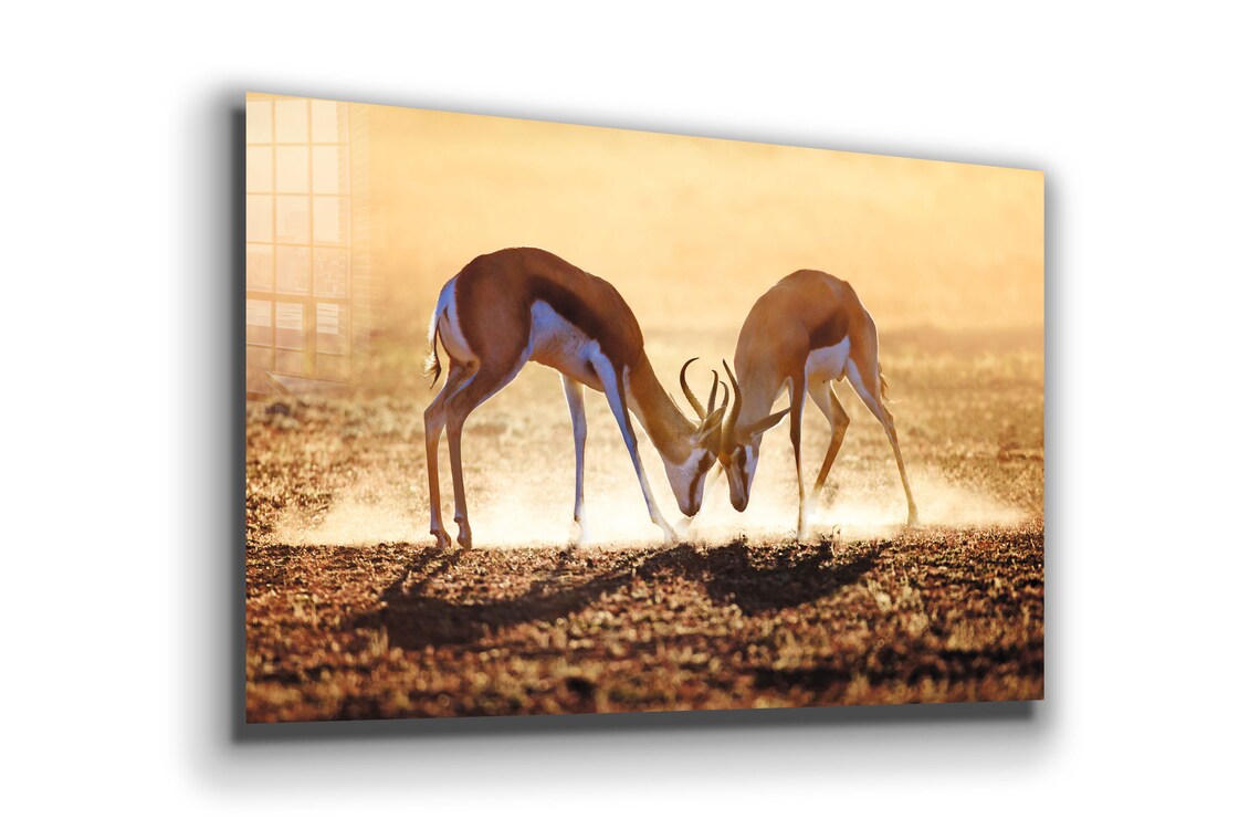 Deer Landscape View UV Direct Aluminum Print Australian Made Quality