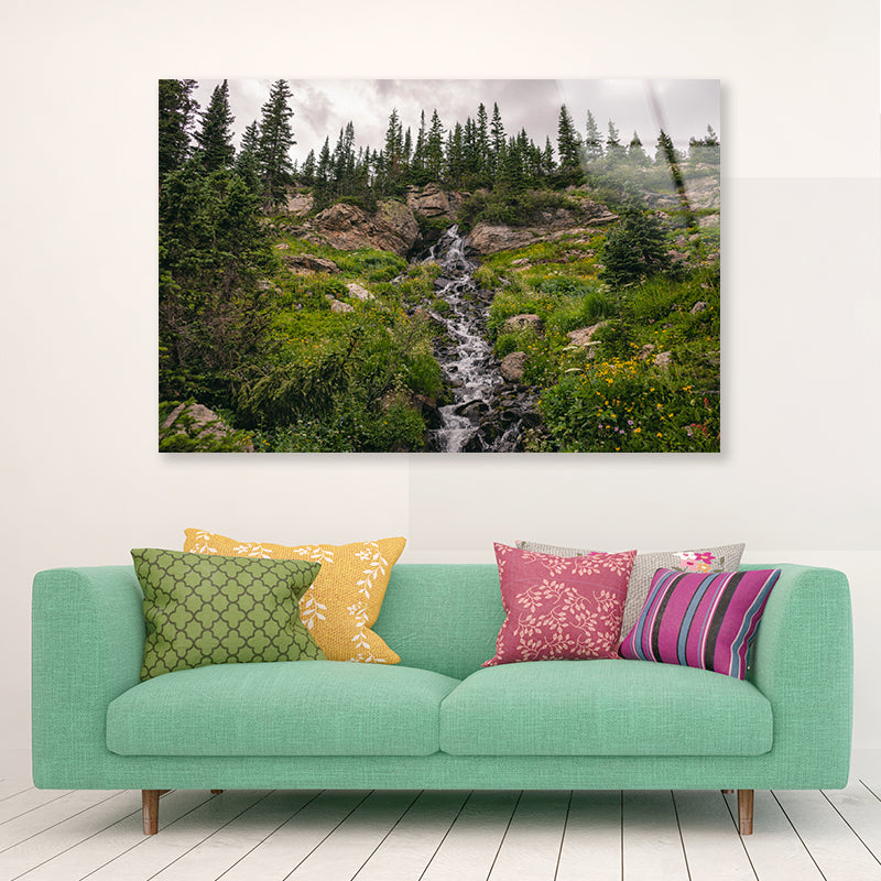 Bunch Of Green Pine Tree on Rocks Acrylic Glass Print Tempered Glass Wall Art 100% Made in Australia Ready to Hang - Bella Home Decor