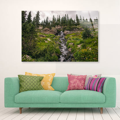 Bunch Of Green Pine Tree on Rocks Acrylic Glass Print Tempered Glass Wall Art 100% Made in Australia Ready to Hang - Bella Home Decor