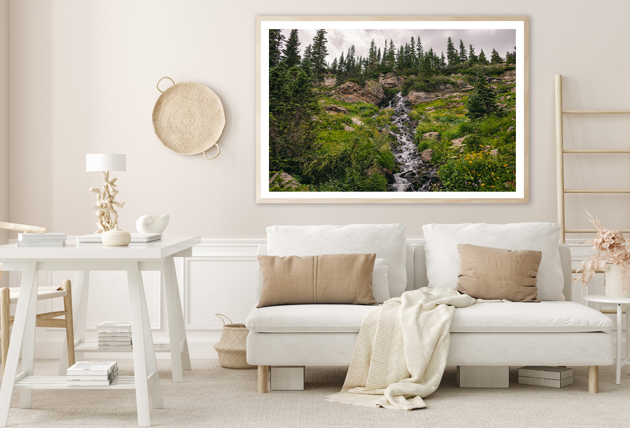 Bunch Of Green Pine Tree on Rocks Home Decor Premium Quality Poster Print Choose Your Sizes - Bella Home Decor