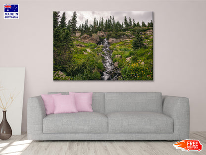 Bunch Of Green Pine Tree on Rocks Print 100% Australian Made - Bella Home Decor