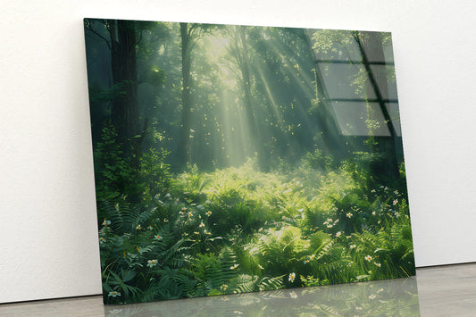 Morning in the Forest Acrylic Glass Print Tempered Glass Wall Art 100% Made in Australia Ready to Hang - Bella Home Decor