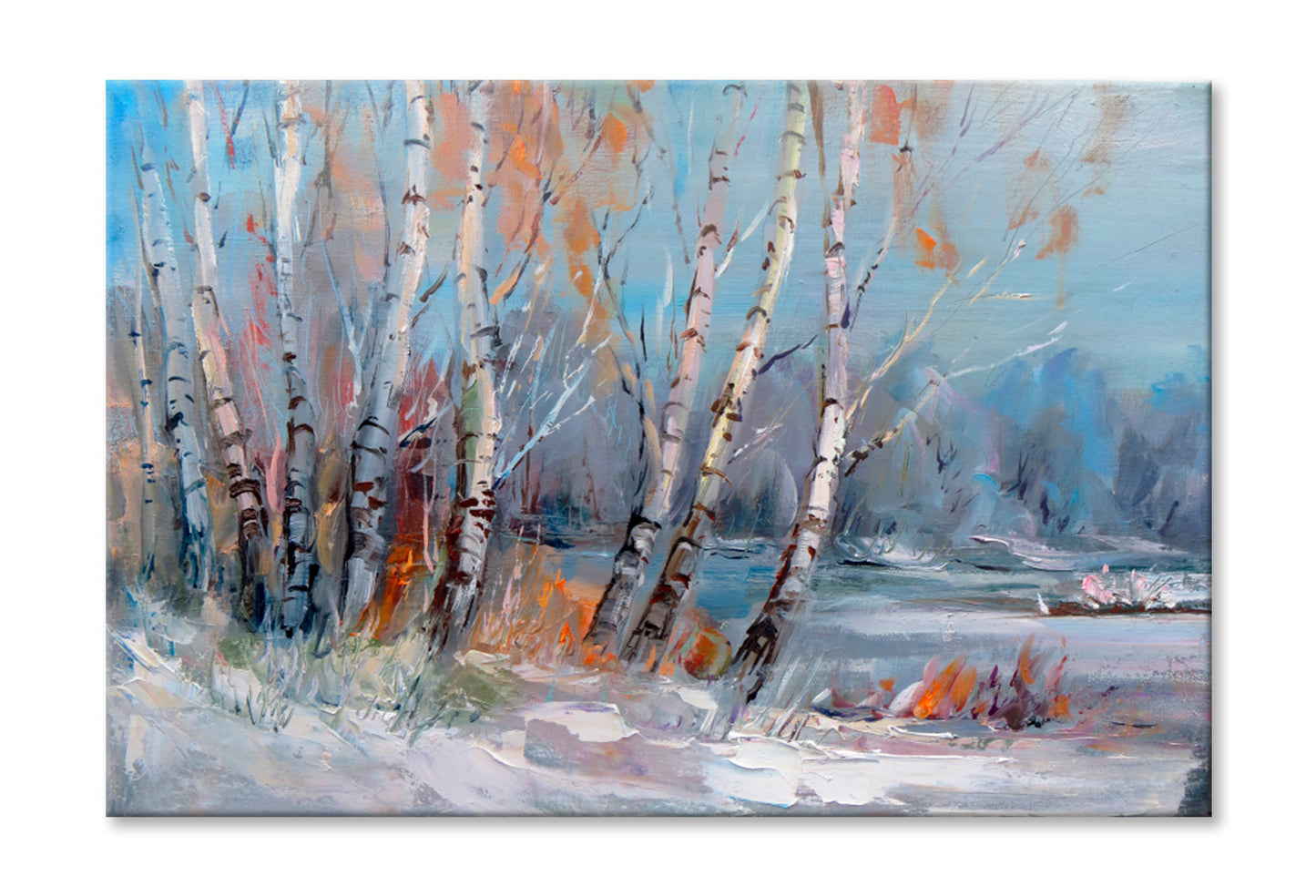 Birch Trees Oil Painting Wall Art Limited Edition High Quality Print Stretched Canvas None