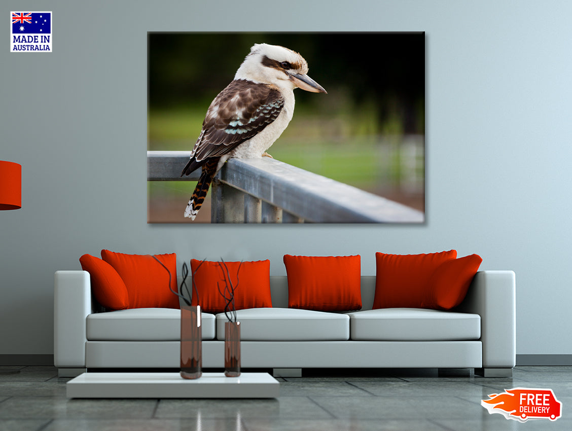 Laughing Kookaburra on Railings Print 100% Australian Made - Bella Home Decor
