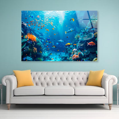 Underwater Scene Showcasing a Diverse Coral Reef  Acrylic Glass Print Tempered Glass Wall Art 100% Made in Australia Ready to Hang