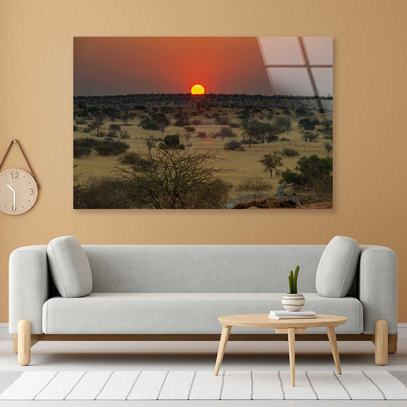 Nature View with Trees and a Sunset Acrylic Glass Print Tempered Glass Wall Art 100% Made in Australia Ready to Hang