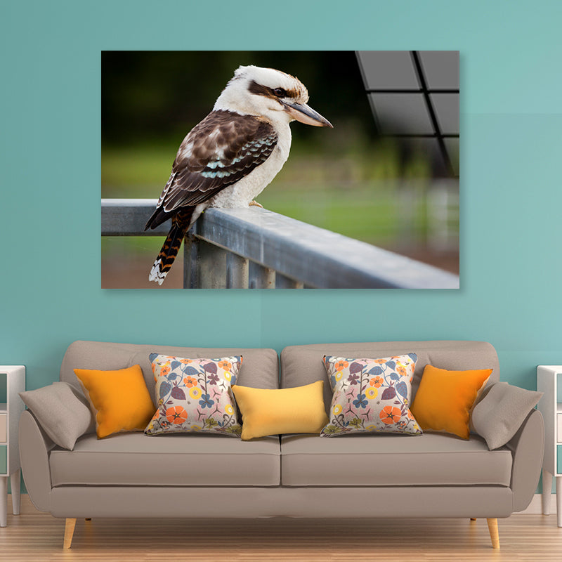 Laughing Kookaburra on Railings Acrylic Glass Print Tempered Glass Wall Art 100% Made in Australia Ready to Hang - Bella Home Decor