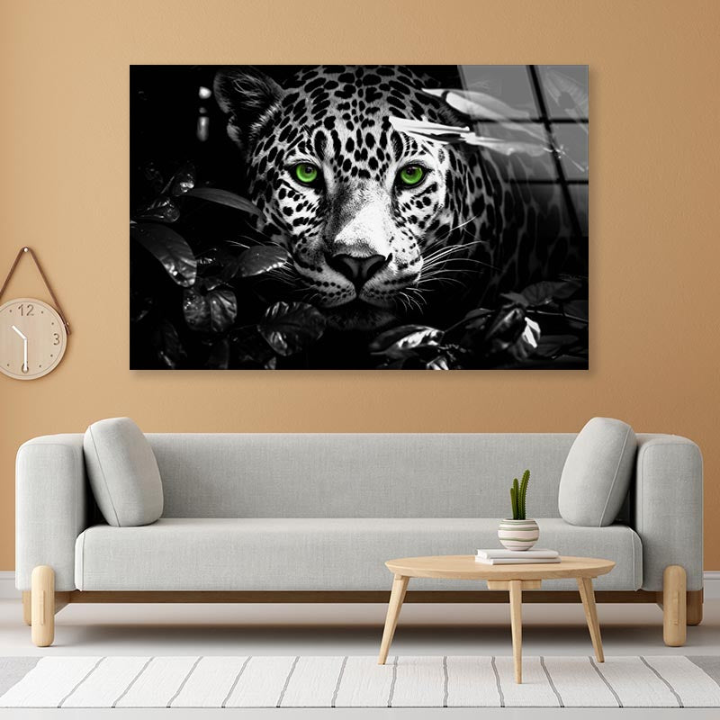 Close-Up Exotic Forest Animal Acrylic Glass Print Tempered Glass Wall Art 100% Made in Australia Ready to Hang