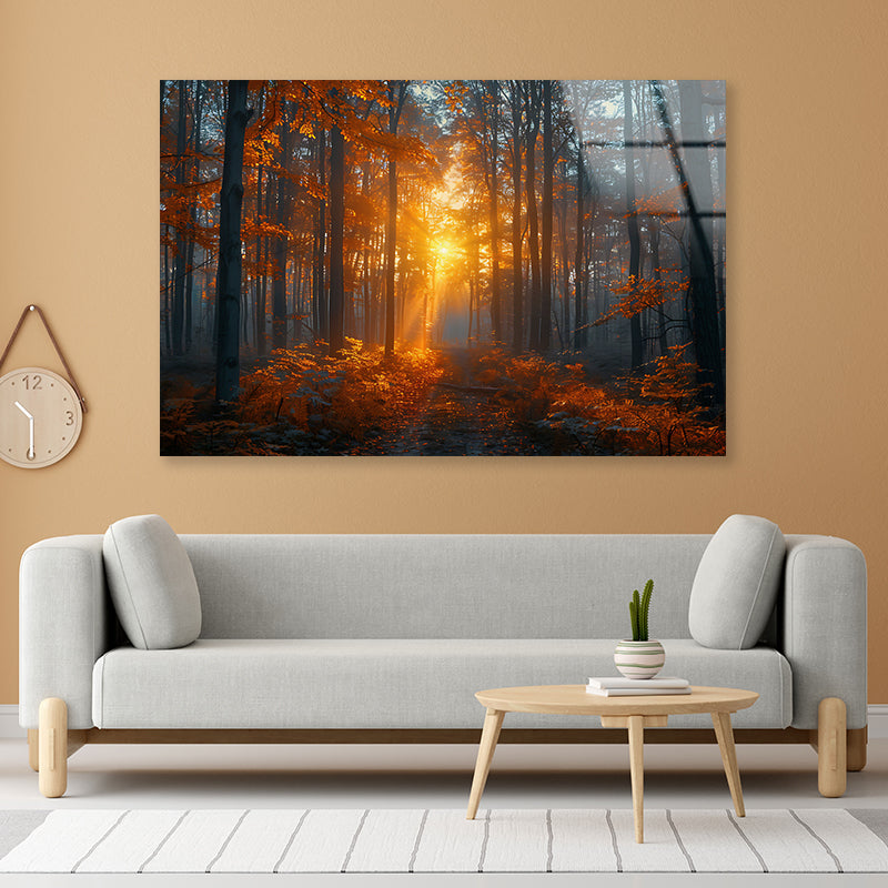 Autumn Forest in the Morning Acrylic Glass Print Tempered Glass Wall Art 100% Made in Australia Ready to Hang - Bella Home Decor