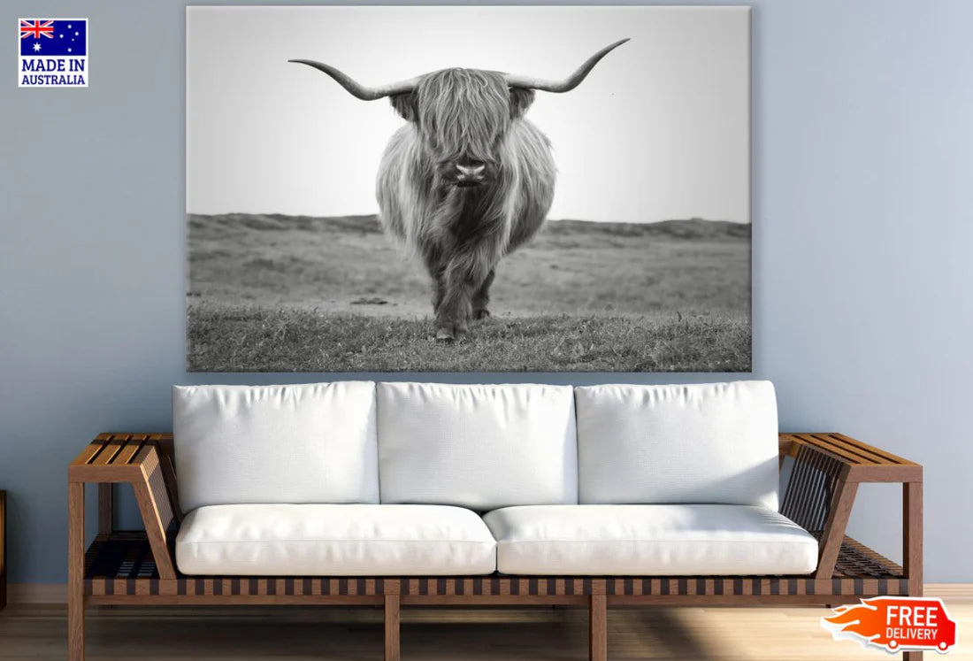 Highland Cow Landscape B&W View 90x60cm Print 100% Australian Made