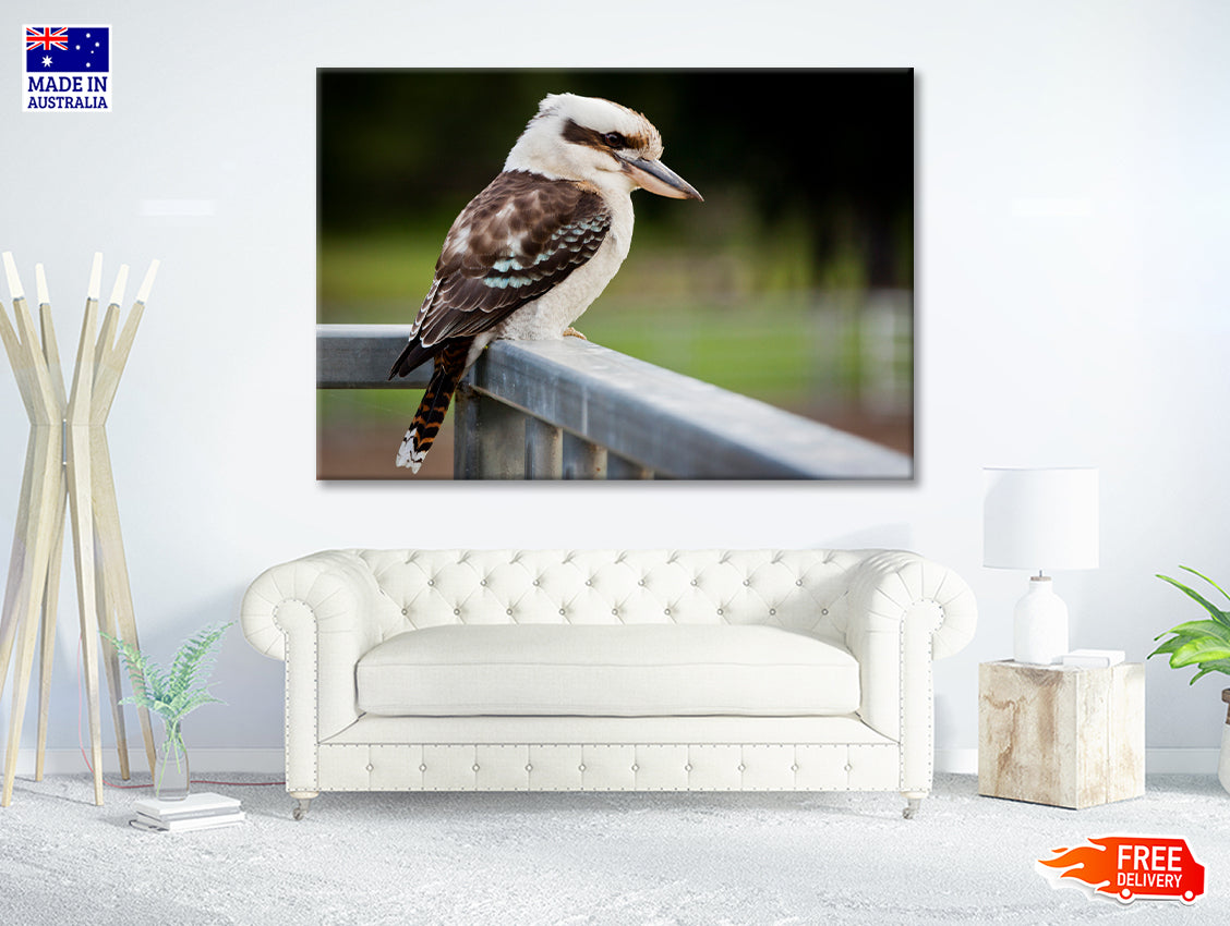 Laughing Kookaburra on Railings Print 100% Australian Made - Bella Home Decor