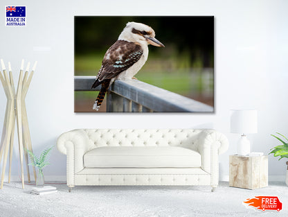 Laughing Kookaburra on Railings Print 100% Australian Made - Bella Home Decor
