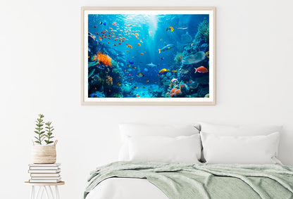 Underwater Scene Showcasing a Diverse Coral Reef Home Decor Premium Quality Poster Print Choose Your Sizes - Bella Home Decor