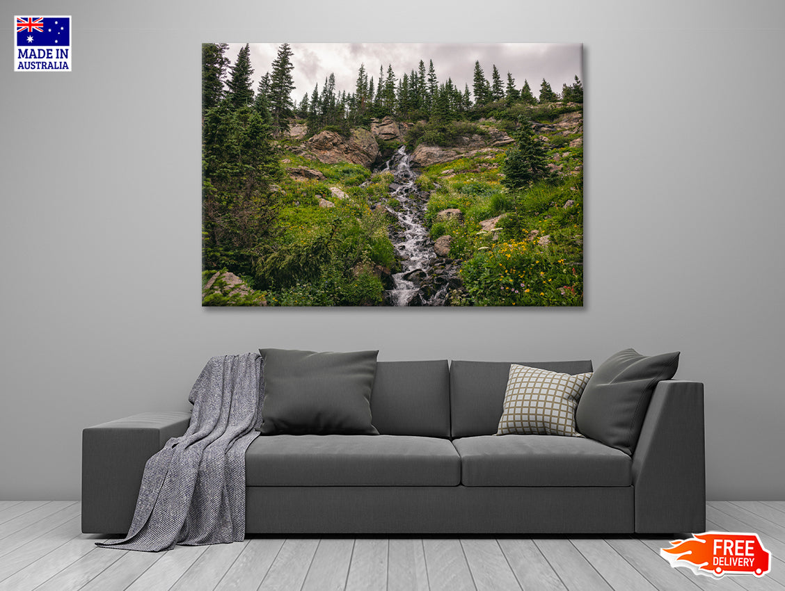 Bunch Of Green Pine Tree on Rocks Print 100% Australian Made - Bella Home Decor