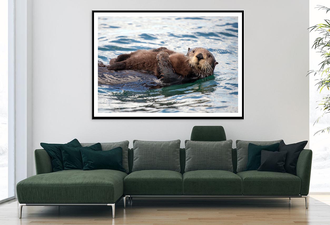 Watchful And Protective Sea Home Decor Premium Quality Poster Print Choose Your Sizes