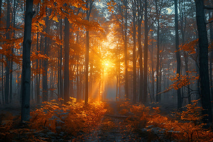 Autumn Forest in the Morning Home Decor Premium Quality Poster Print Choose Your Sizes - Bella Home Decor