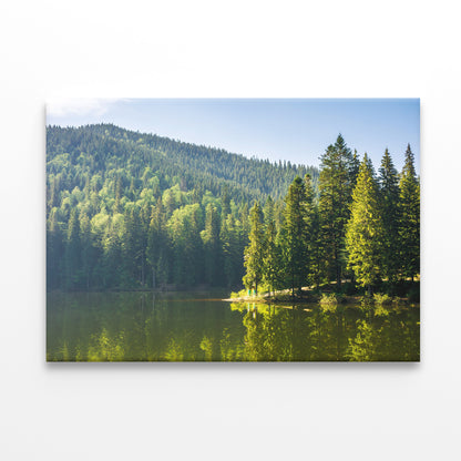 Synevyr Lake in Carpathian Nature Wall Art Decor 100% Australian Made - Bella Home Decor
