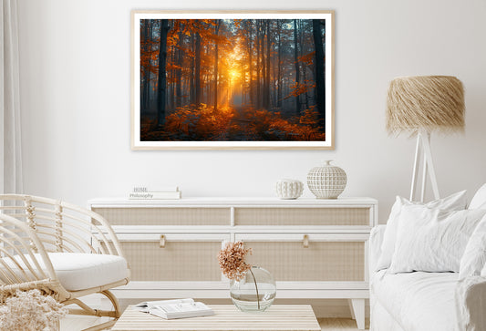 Autumn Forest in the Morning Home Decor Premium Quality Poster Print Choose Your Sizes