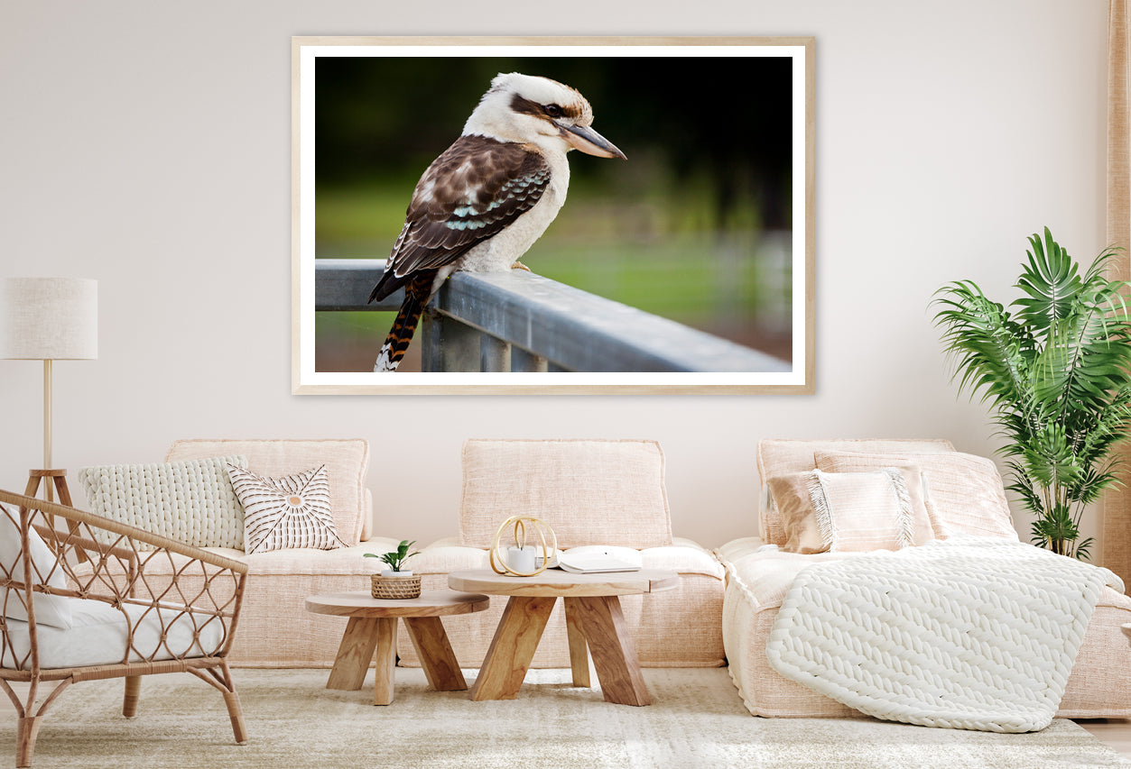 Laughing Kookaburra on Railings Home Decor Premium Quality Poster Print Choose Your Sizes