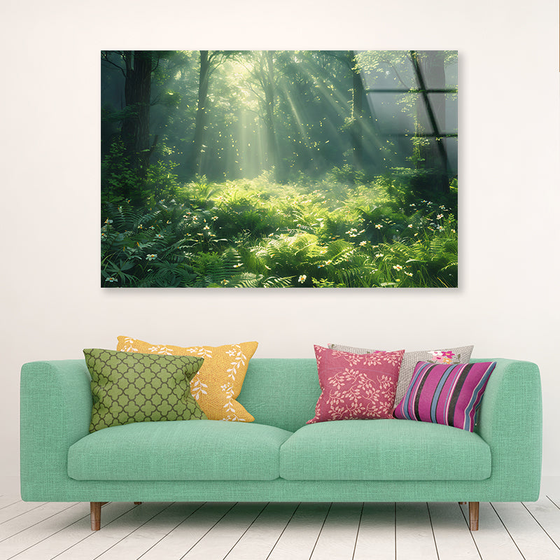 Morning in the Forest Acrylic Glass Print Tempered Glass Wall Art 100% Made in Australia Ready to Hang - Bella Home Decor