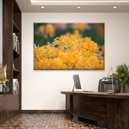Yellow Spider Lily Flower Floral Wall Art Decor 100% Australian Made