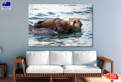 Watchful And Protective Sea Wall Art Decor 100% Australian Made - Bella Home Decor