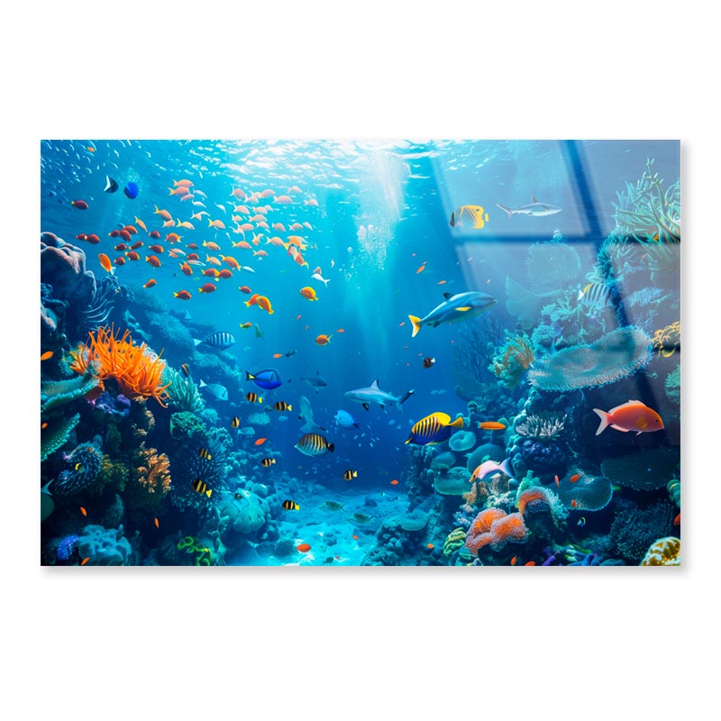 Underwater Scene Showcasing a Diverse Coral Reef  Acrylic Glass Print Tempered Glass Wall Art 100% Made in Australia Ready to Hang