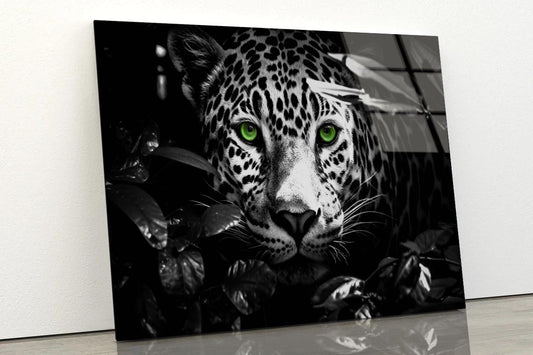 Close-Up Exotic Forest Animal Acrylic Glass Print Tempered Glass Wall Art 100% Made in Australia Ready to Hang