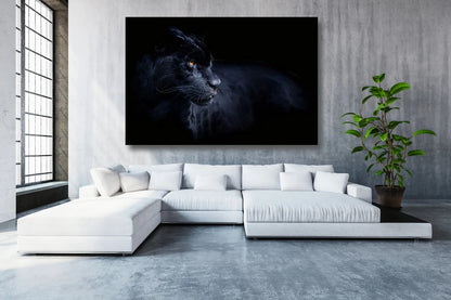 Black Panther UV Direct Aluminum Print Australian Made Quality