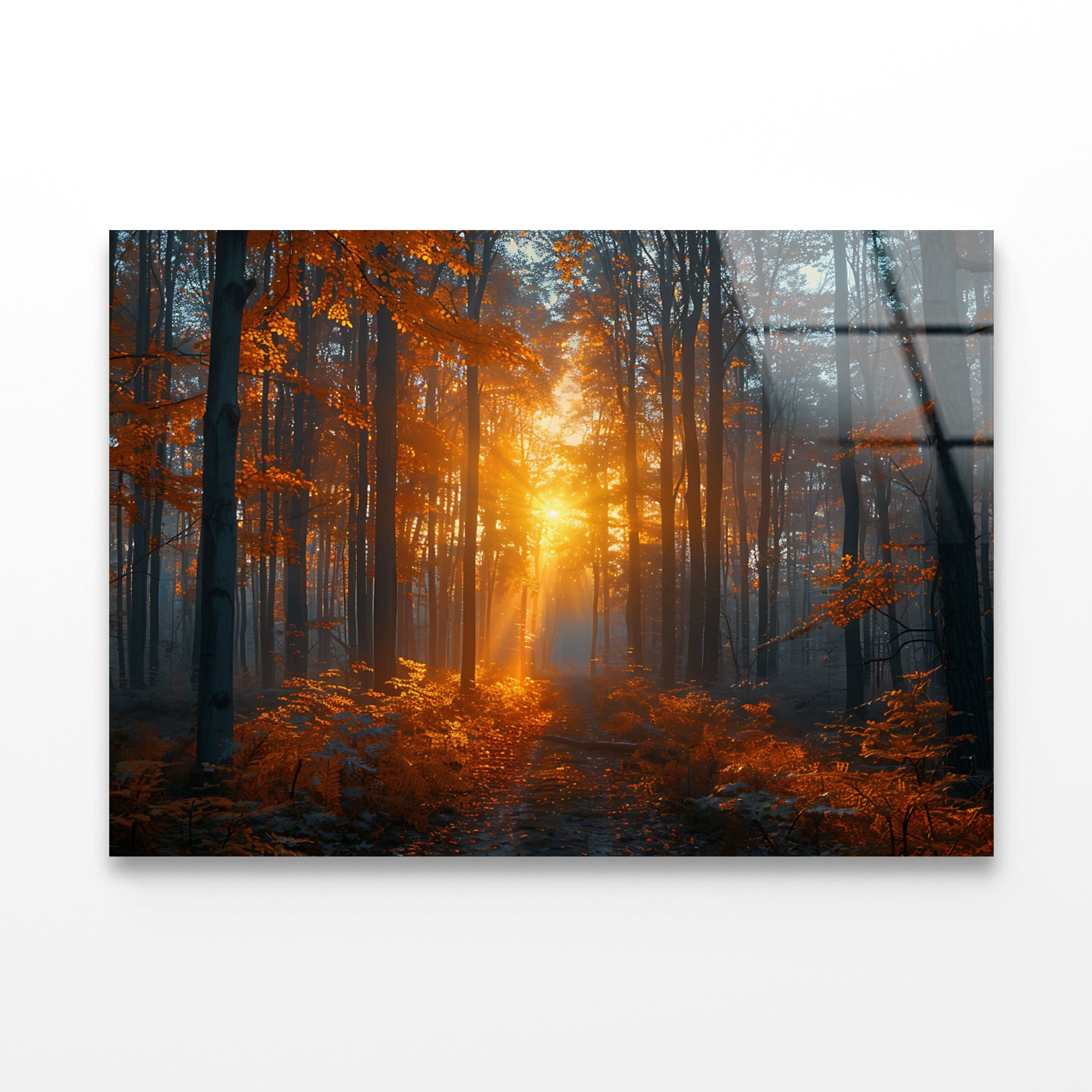 Autumn Forest in the Morning Acrylic Glass Print Tempered Glass Wall Art 100% Made in Australia Ready to Hang - Bella Home Decor