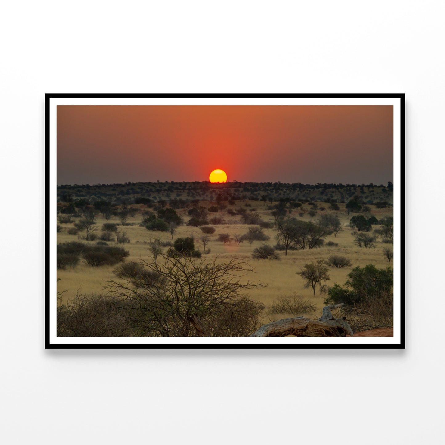 Nature View with Trees and a Sunset Home Decor Premium Quality Poster Print Choose Your Sizes