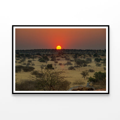 Nature View with Trees and a Sunset Home Decor Premium Quality Poster Print Choose Your Sizes