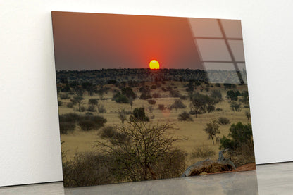 Nature View with Trees and a Sunset Acrylic Glass Print Tempered Glass Wall Art 100% Made in Australia Ready to Hang