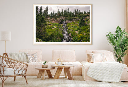 Bunch Of Green Pine Tree on Rocks Home Decor Premium Quality Poster Print Choose Your Sizes - Bella Home Decor