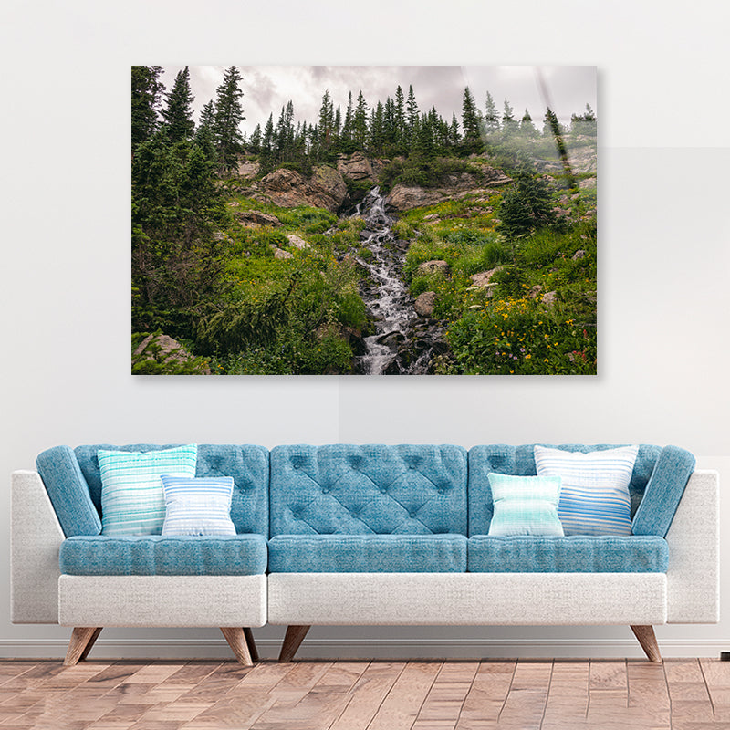Bunch Of Green Pine Tree on Rocks Acrylic Glass Print Tempered Glass Wall Art 100% Made in Australia Ready to Hang - Bella Home Decor