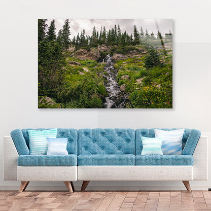 Bunch Of Green Pine Tree on Rocks Acrylic Glass Print Tempered Glass Wall Art 100% Made in Australia Ready to Hang - Bella Home Decor