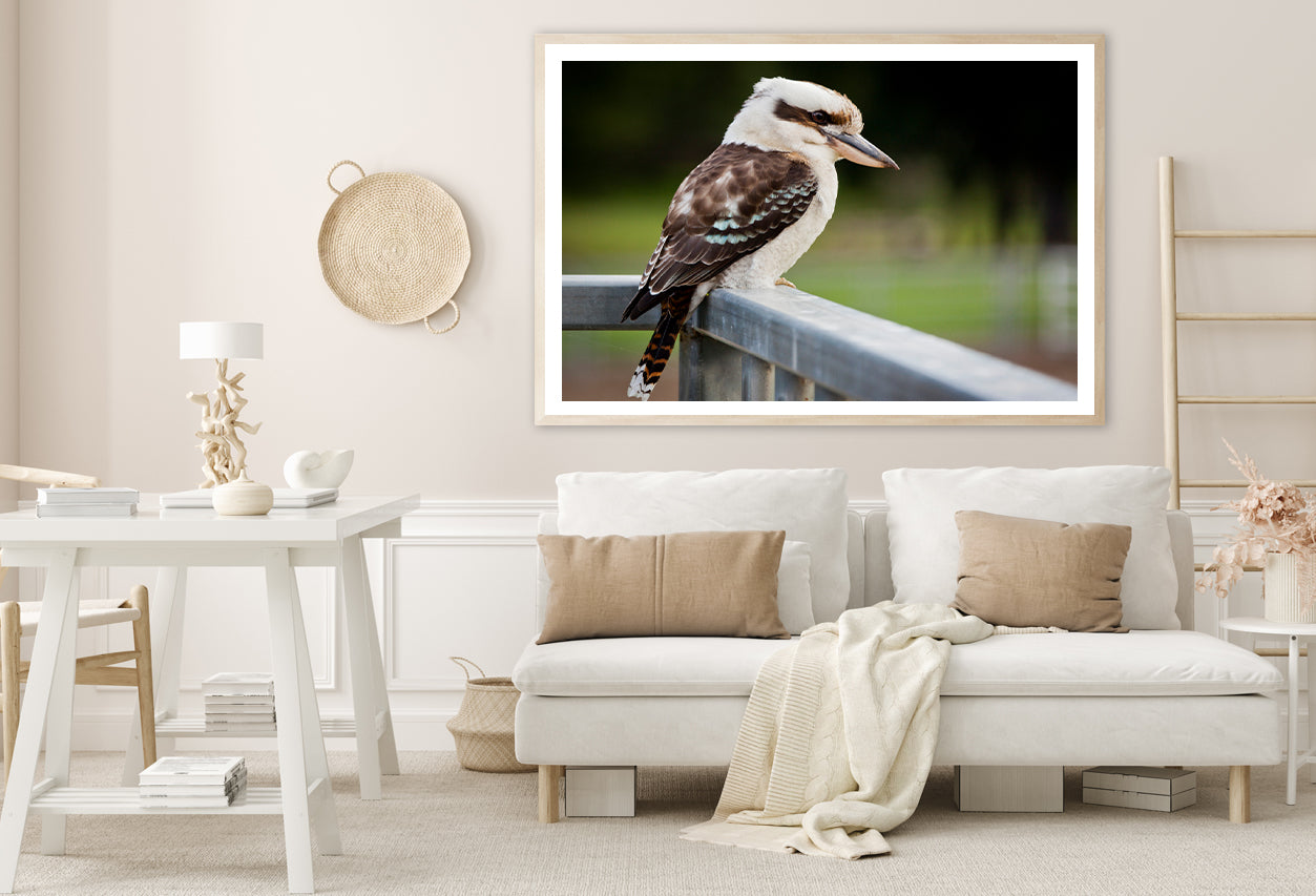 Laughing Kookaburra on Railings Home Decor Premium Quality Poster Print Choose Your Sizes