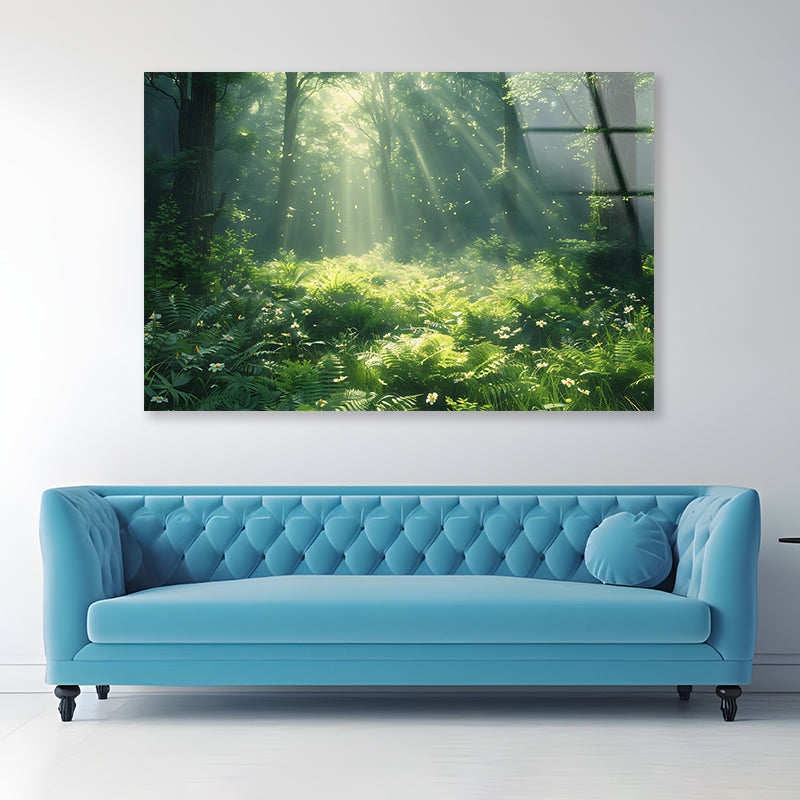 Morning in the Forest Acrylic Glass Print Tempered Glass Wall Art 100% Made in Australia Ready to Hang - Bella Home Decor