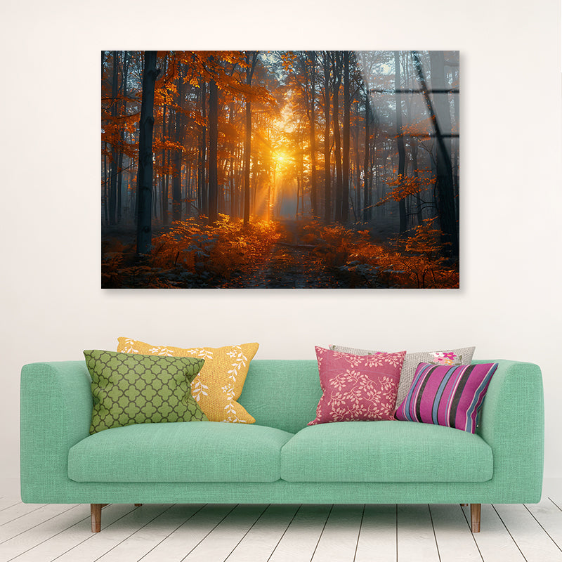 Autumn Forest in the Morning Acrylic Glass Print Tempered Glass Wall Art 100% Made in Australia Ready to Hang - Bella Home Decor