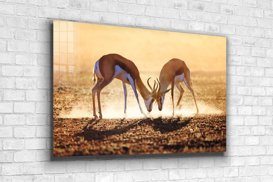 Deer Landscape View UV Direct Aluminum Print Australian Made Quality