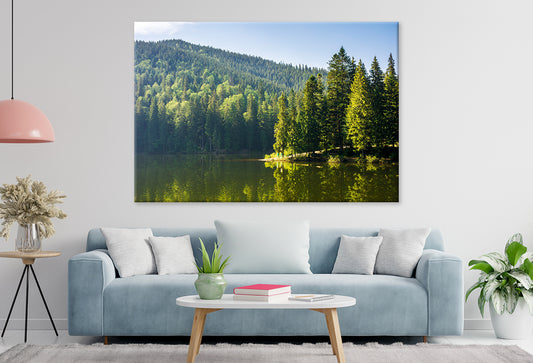 Synevyr Lake in Carpathian Nature Wall Art Decor 100% Australian Made - Bella Home Decor