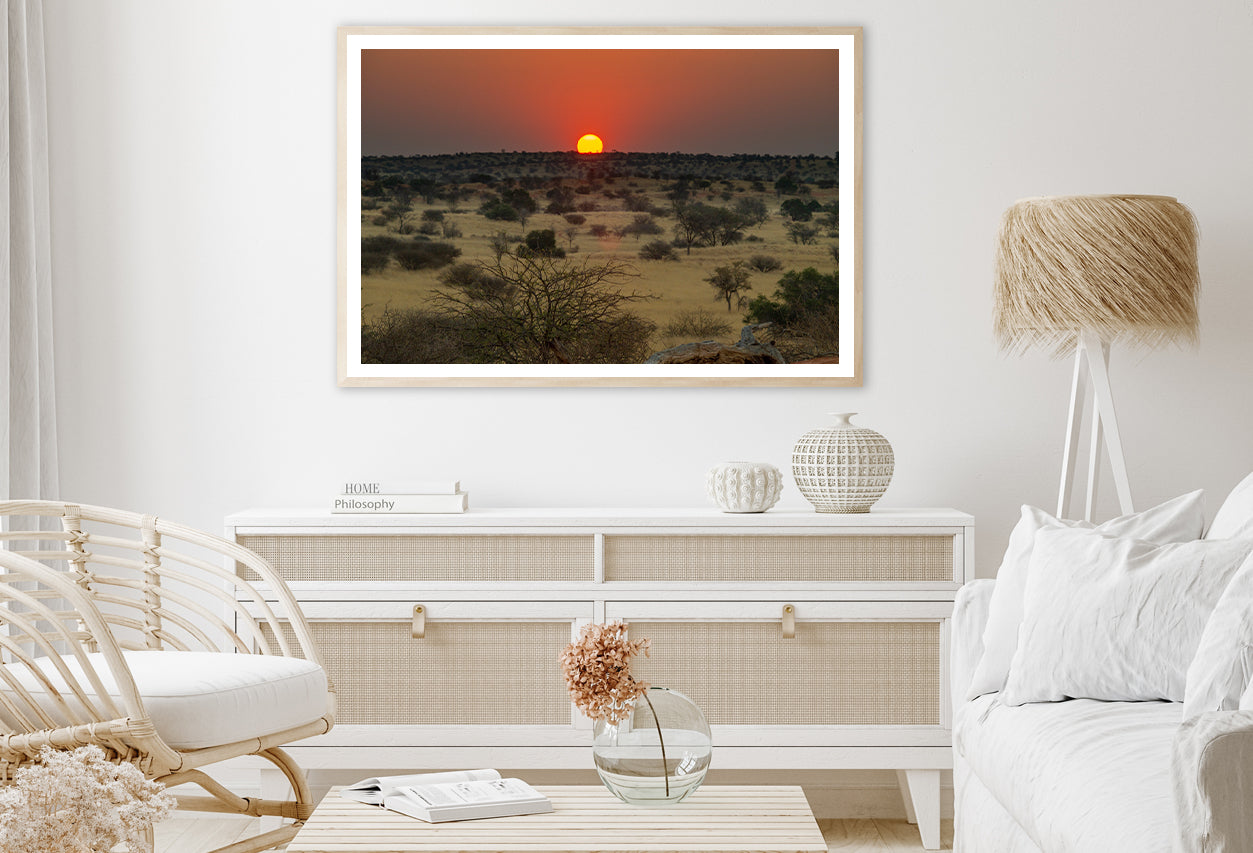 Nature View with Trees and a Sunset Home Decor Premium Quality Poster Print Choose Your Sizes