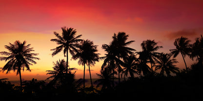 Tropical Sunset Palm Trees Wall Art Canvas Office Home Room Framed 120x60cm - Bella Home Decor