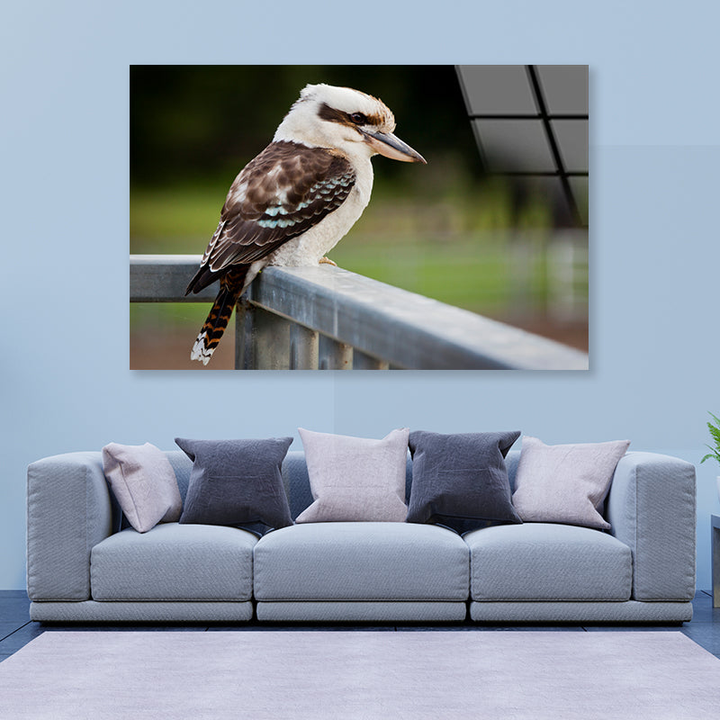 Laughing Kookaburra on Railings Acrylic Glass Print Tempered Glass Wall Art 100% Made in Australia Ready to Hang - Bella Home Decor